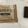ロッテ シャルロッテ 生チョコレート カカオ パーソナルパック 商品写真 3枚目