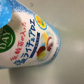 日本ルナ 乳酸菌が入った塩ライチ＆アロエ 商品写真 1枚目