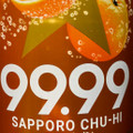 サッポロ チューハイ99.99 クリアオレンジ 商品写真 3枚目