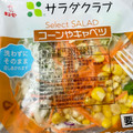 サラダクラブ Select SALAD コーンやキャベツ 商品写真 3枚目