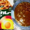 大塚食品 ボンカレーゴールド 大辛 商品写真 3枚目