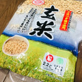 南国製菓 徳用玄米 商品写真 1枚目