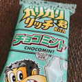 赤城 ガリガリ君 リッチチョコミント 商品写真 1枚目