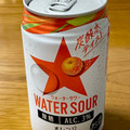 サッポロ WATER SOUR オレンジ 商品写真 5枚目