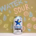 サッポロ WATER SOUR レモン 商品写真 3枚目