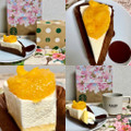 スターバックス オレンジ＆レアチーズケーキ 商品写真 1枚目