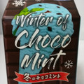 エルビー 冬のチョコミント 商品写真 1枚目