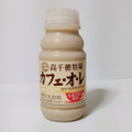 Dairy カフェ・オ・レ 商品写真 3枚目