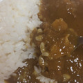 新宿中村屋 インドカリー スパイシーチキン 商品写真 3枚目