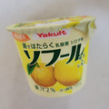 ヤクルト ソフール ゆず＆レモン 商品写真 3枚目
