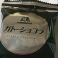 森永製菓 抹茶のガトーショコラ 商品写真 2枚目