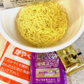 ニュータッチ 凄麺 鶏しおの逸品 商品写真 2枚目