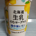 HOKUNYU 地中海レモン 北海道生乳のむヨーグルト 商品写真 3枚目