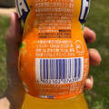 コカ・コーラ ファンタ オレンジ 商品写真 3枚目