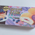 ロッテ カスタードケーキ ブルーベリーパンケーキ 商品写真 5枚目