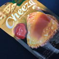 江崎グリコ 生チーズのチーザ チェダーチーズ 商品写真 4枚目