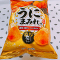 山芳製菓 ポテトチップス うにまみれ味 商品写真 3枚目