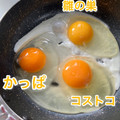 北海道産鶏卵 雛の巣 商品写真 4枚目