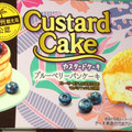 ロッテ カスタードケーキ ブルーベリーパンケーキ 商品写真 1枚目