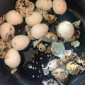 室蘭うずら園 北海道産 うずら卵 商品写真 4枚目