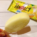 明治 TANPACT アイスバー レモンヨーグルト味 商品写真 5枚目