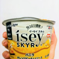 日本ルナ Isey SKYR バニラ オレンジピール入りソース 商品写真 3枚目