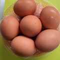 全国地養卵協会 地養卵 商品写真 3枚目