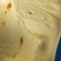 イオン トップバリュ ニュージーランド産の生乳を使用 ダブルキャラメルアイスクリーム 商品写真 5枚目