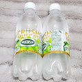 アサヒ ウィルキンソン タンサン クラッシュマスカット 商品写真 4枚目