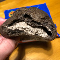 オランジェ オレオ クッキー＆北海道練乳クリームのシュークリーム 商品写真 2枚目
