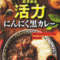 明治 めざめる活力 にんにく黒カレー 商品写真 2枚目