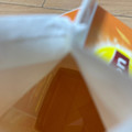 森永 Lipton アプリコットティー 商品写真 2枚目