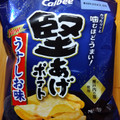 カルビー 堅あげポテト うすしお味 商品写真 4枚目