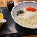 ウエスト 明太釜玉うどん 商品写真 4枚目