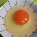 鈴木養鶏場 プレミアムエッグ 紅 商品写真 1枚目