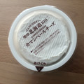 雪印メグミルク 雪印北海道100 カマンベールチーズ 商品写真 4枚目