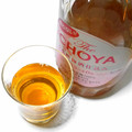 チョーヤ 酔わない The CHOYA 本格梅酒仕込み 商品写真 1枚目