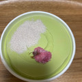 森永 MOW 宇治抹茶 商品写真 3枚目