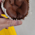 プレシア 生食感ミルクチョコラーデ 商品写真 1枚目