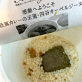 日清食品 オーベルジーヌ監修 欧風カレー 商品写真 2枚目