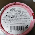 ガレー・ジャパン ナノバー ミルク＆ダークプラリネ 商品写真 3枚目