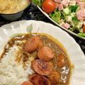 S＆B 本挽きカレー 中辛 商品写真 3枚目