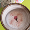 富澤商店 フリーズドライパウダー桜 商品写真 1枚目