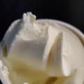 赤城 もはや練乳を凍らせたようなアイス 商品写真 1枚目
