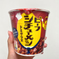 日清食品 日清シチューメシ ビーフ ドミグラス 商品写真 3枚目