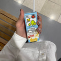 キッコーマン 豆乳飲料 バニラアイス 商品写真 3枚目