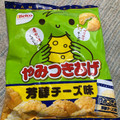 Befco やみつきあげ 芳醇チーズ味 商品写真 2枚目