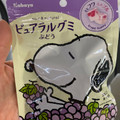 カバヤ ピュアラルグミ ぶどう 商品写真 5枚目