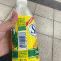 Dairy 愛のスコール スコールパイン 商品写真 3枚目