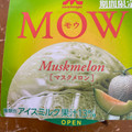 森永 MOW マスクメロン 商品写真 3枚目